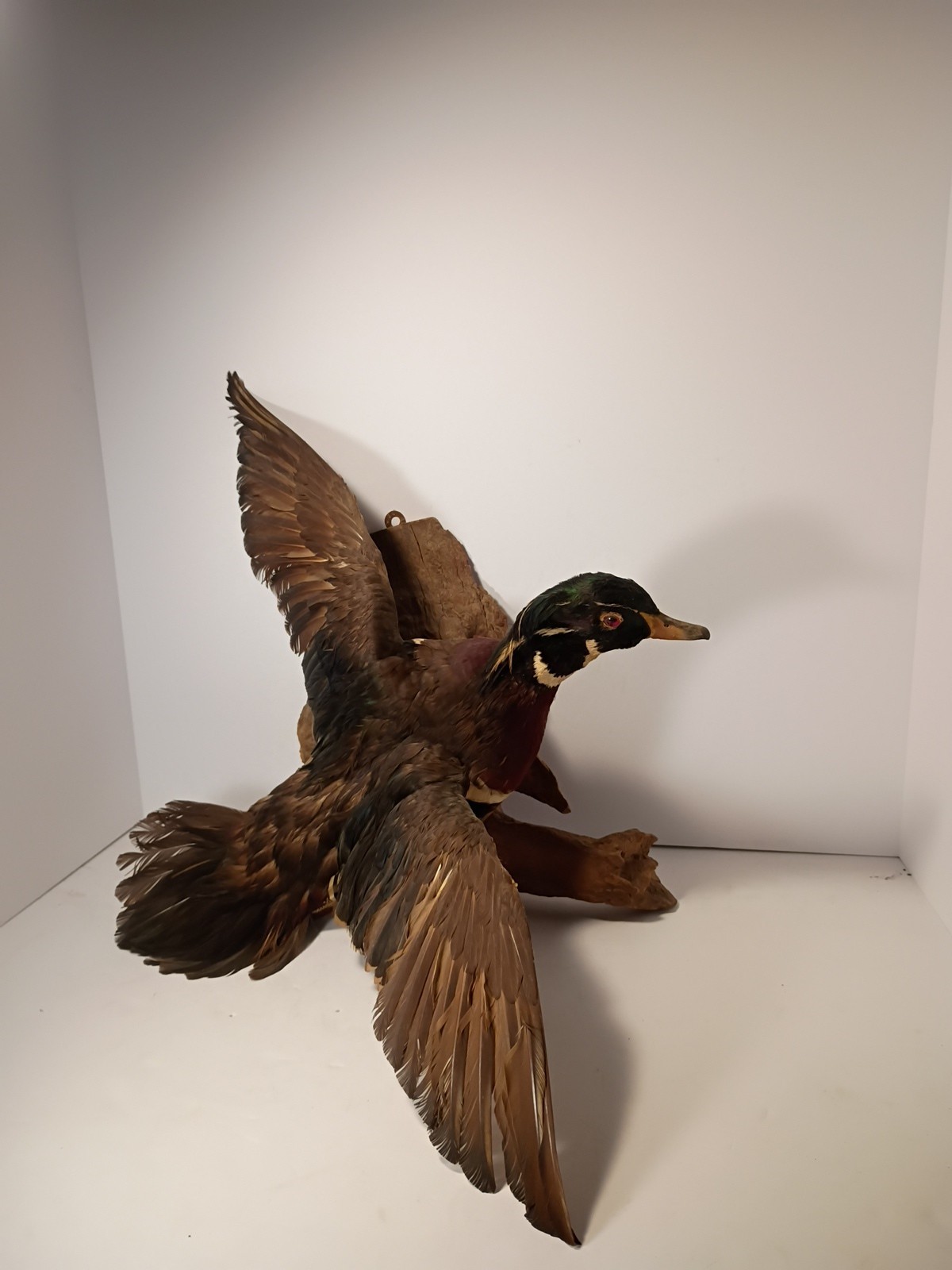 Vintage Flying Woody Duck On Drift Wood Wall Hanging 24"x18"