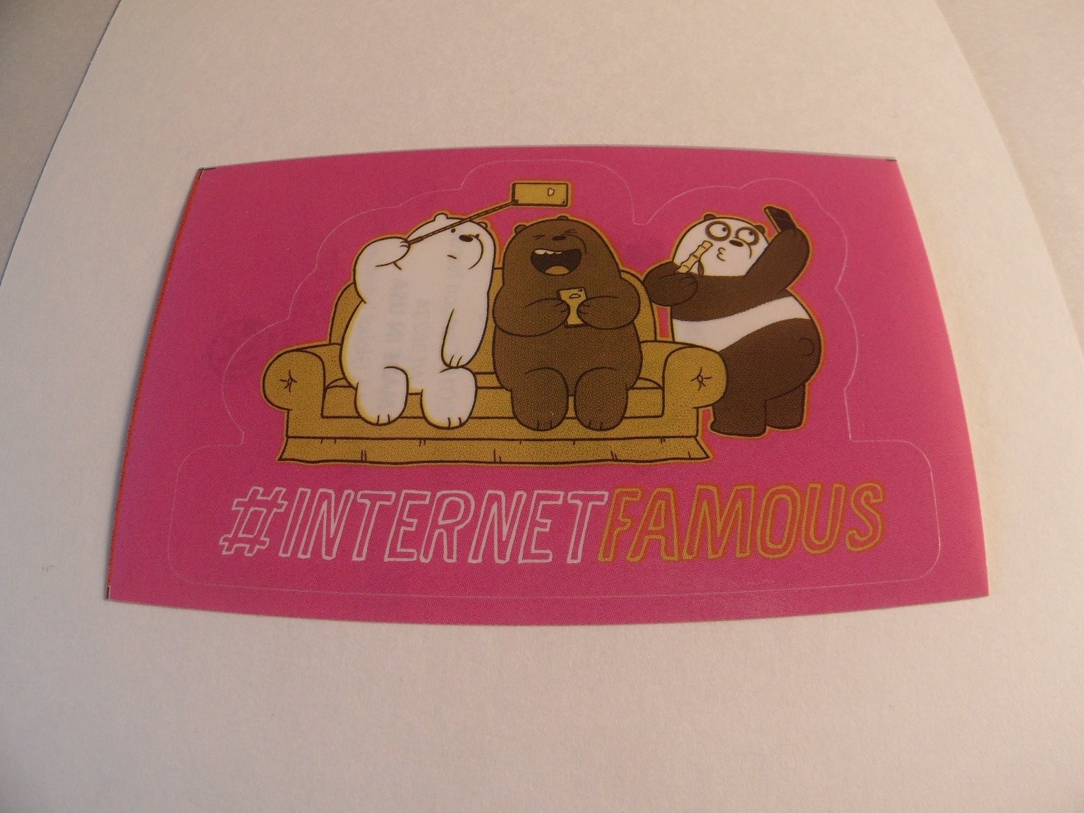 We Bare Bears #INTERNETFAMOUS Sticker Cartoon Network WEBB234 Made in USA