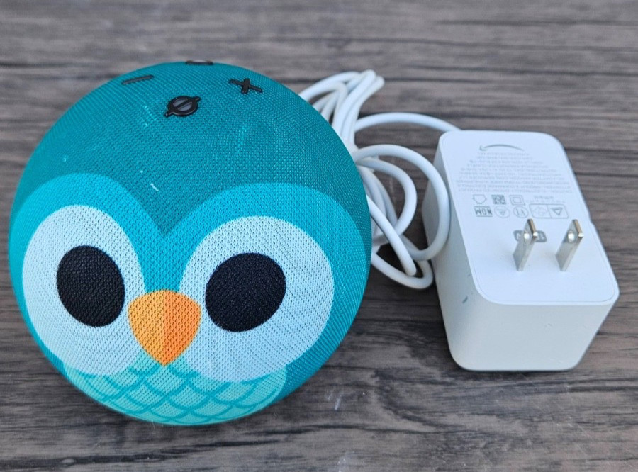 Amazon Echo Dot Kids (5th Gen) Owl – Alexa Smart Speaker T54