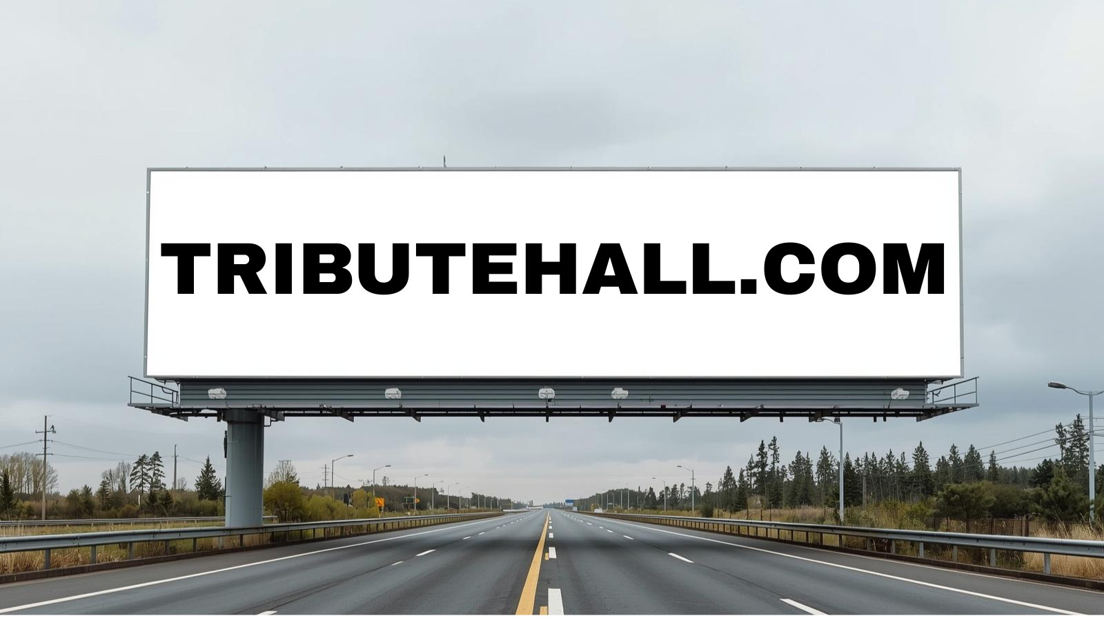 Premium domain name for sale -TRIBUTEHALL.COM-  Registered since 2020