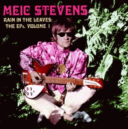 MEIC STEVENS - Rain In The Leaves: The Eps, Vol. 1 - CD - *NEW/STILL SEALED*
