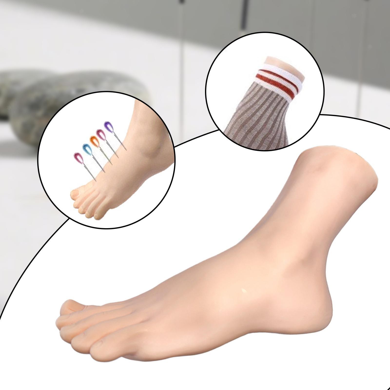 Female Foot Model Women's Sock Display Stand for Painting Sketching Teaching