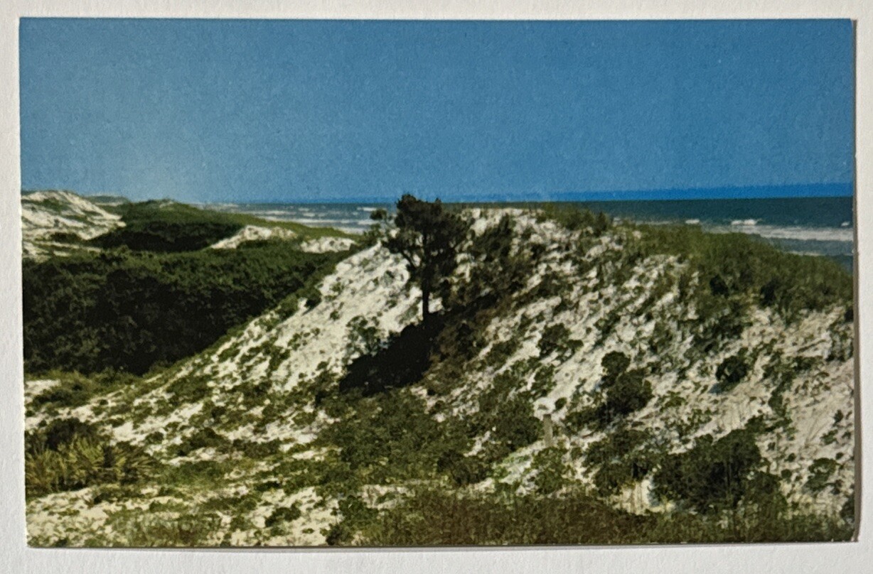 Beach at St Josephs State Park near Port St Joe FL Florida Vintage Postcard