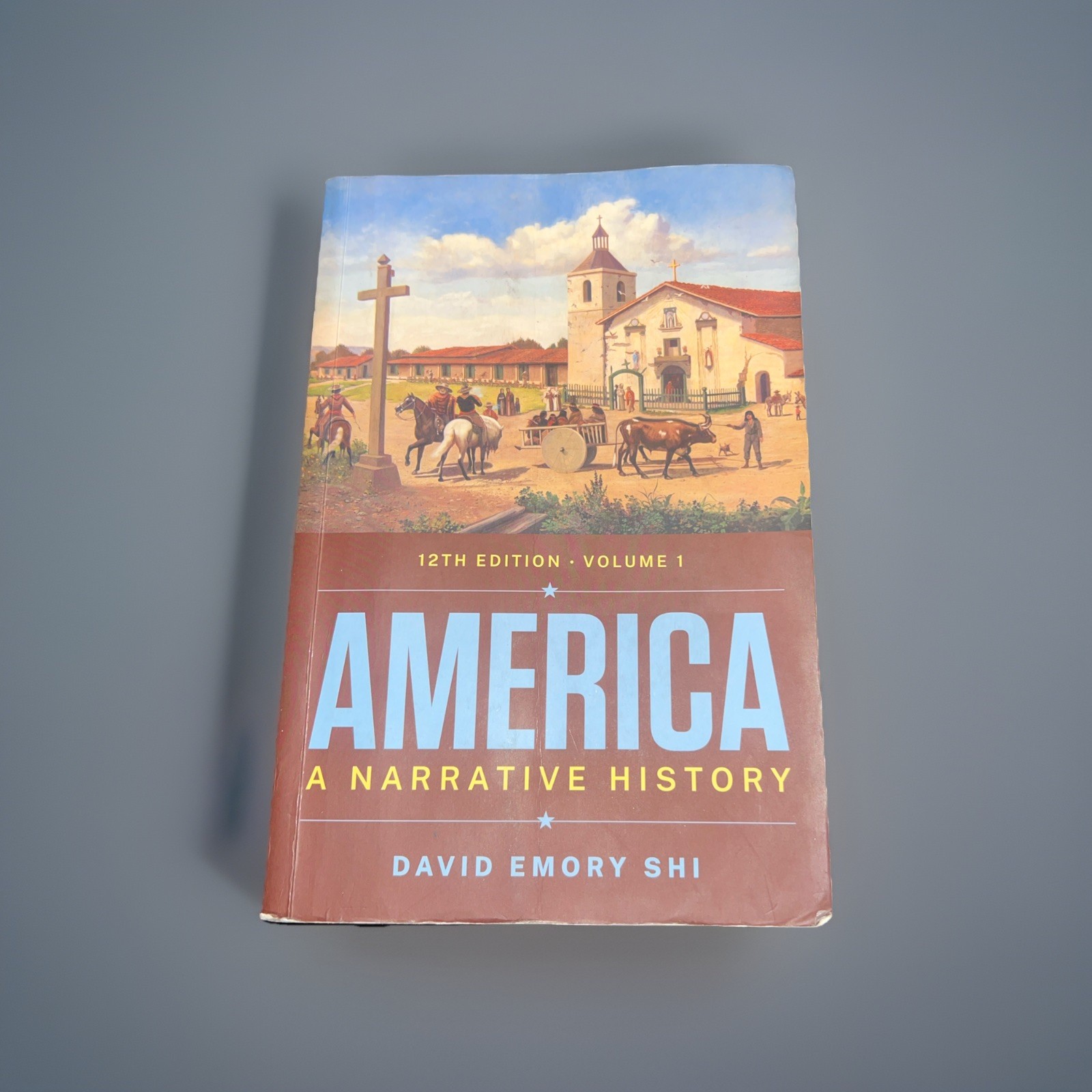 America: A Narrative History by David E Shi: Used