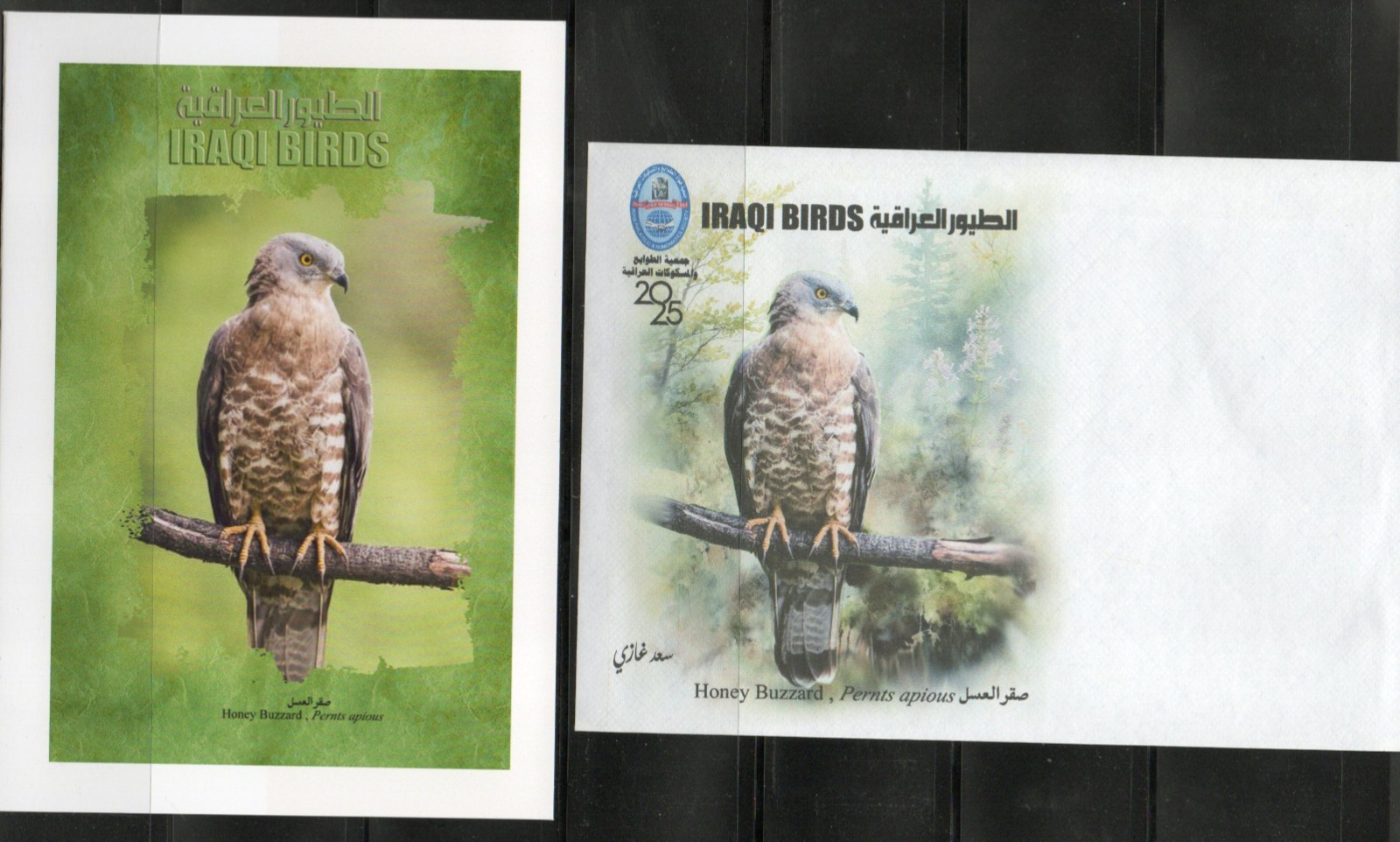 Postcard issued by the Iraqi Philatelic Society featuring the birds of Iraq 2025