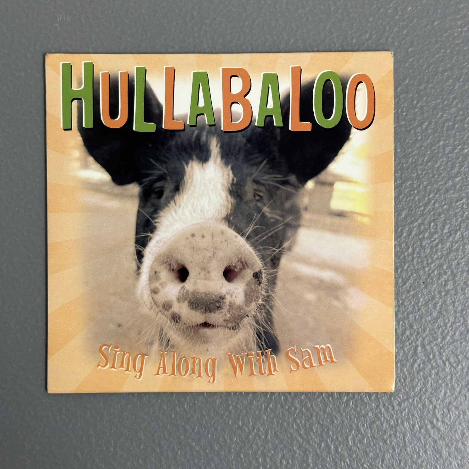 Sing Along with Sam by Hullabaloo (CD, 2006)