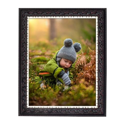  8.5x11 Photo Frame - Ornate 8.5x11 (1 Pack) Black With Silver & Burgundy