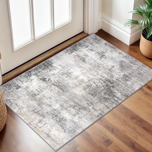  Small Abstract Area Rug 2x3 Ft Entryway Rugs Washable Door Mat Indoor 