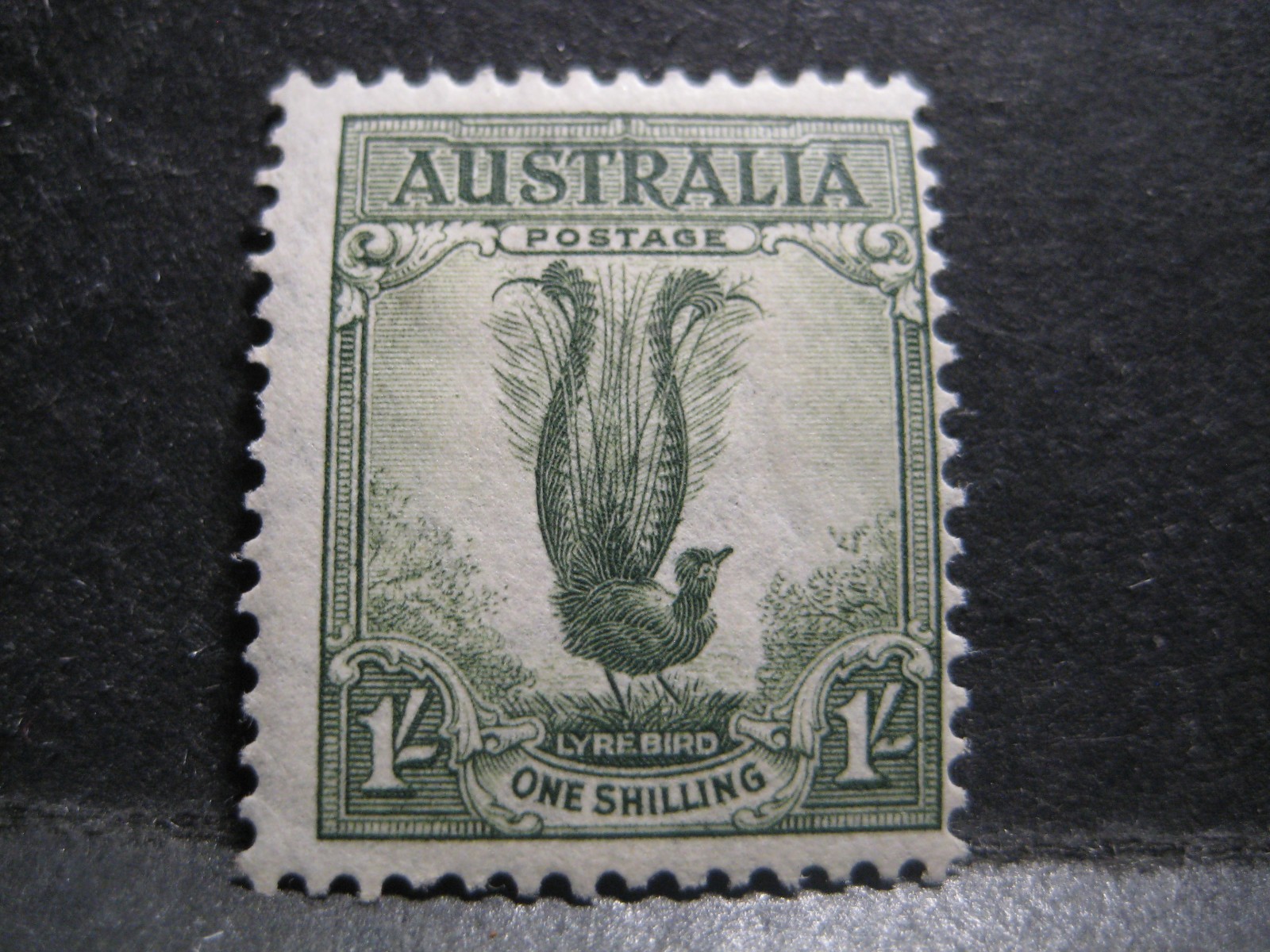 Australia #175a Mint Hinged- WDWPhilatelic (N9X)  (3/26)3