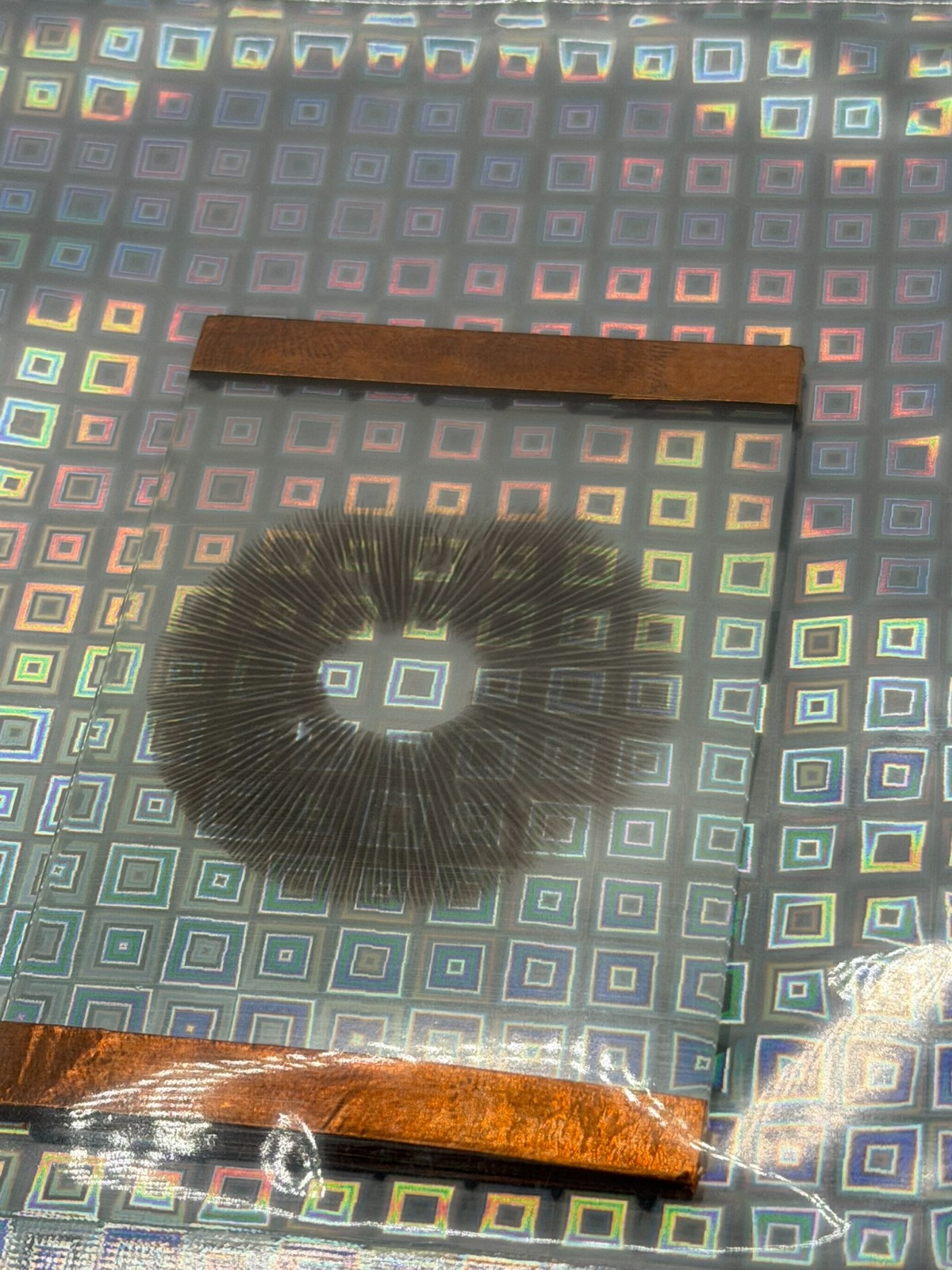 Glass Slide W/Spore Print ready for viewing (unstained)  Microscropy/Novelty Art