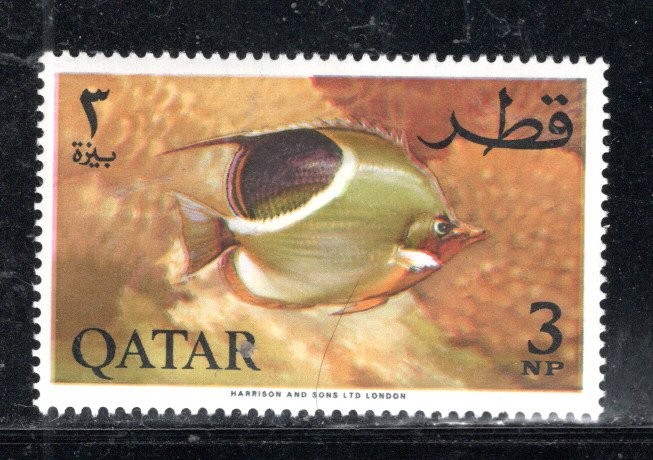 QATAR MIDDLE EAST  STAMP   MINT HINGED LOT 62537