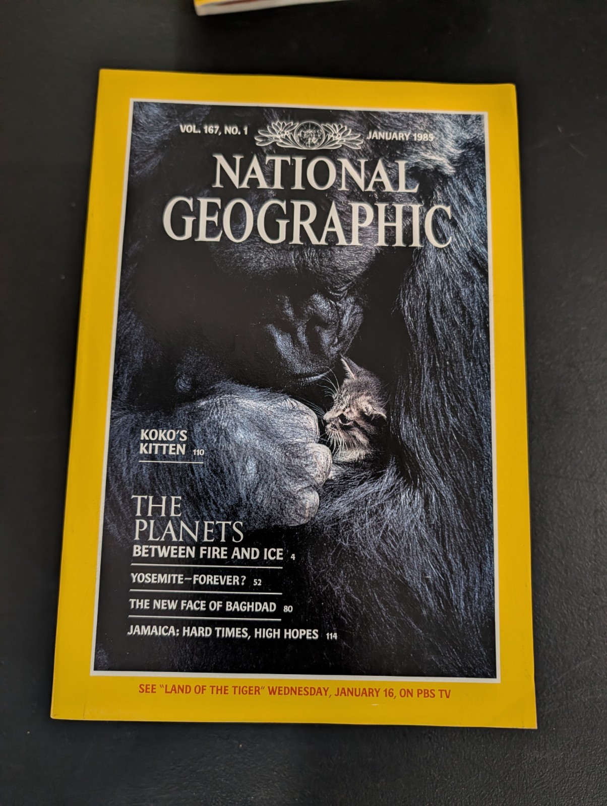 National Geographic Magazine 1985 Complete Year Full Lot of 12 Issues