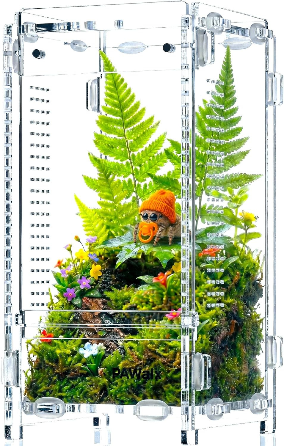 Jumping Spider Enclosure, Acrylic Terrarium with with Magnetic Doors, 0.8Mm Micr