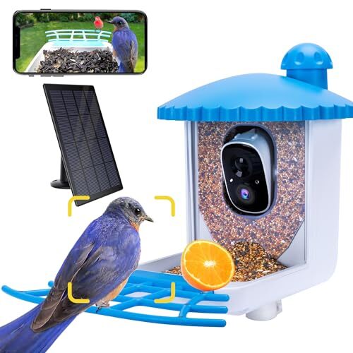 Bird Feeder with Camera, 2K HD Bird Video Capture, 5000mAh Battery with G02-Big