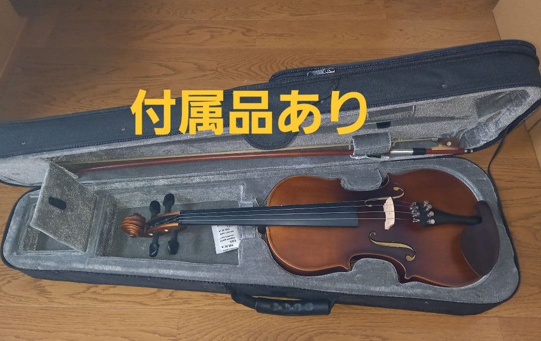 hallstatt beginner's violin set