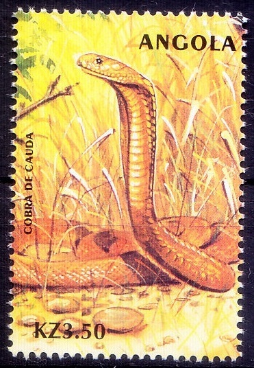 Angola 2000 MNH, Cobra, Snakes, Reptiles  