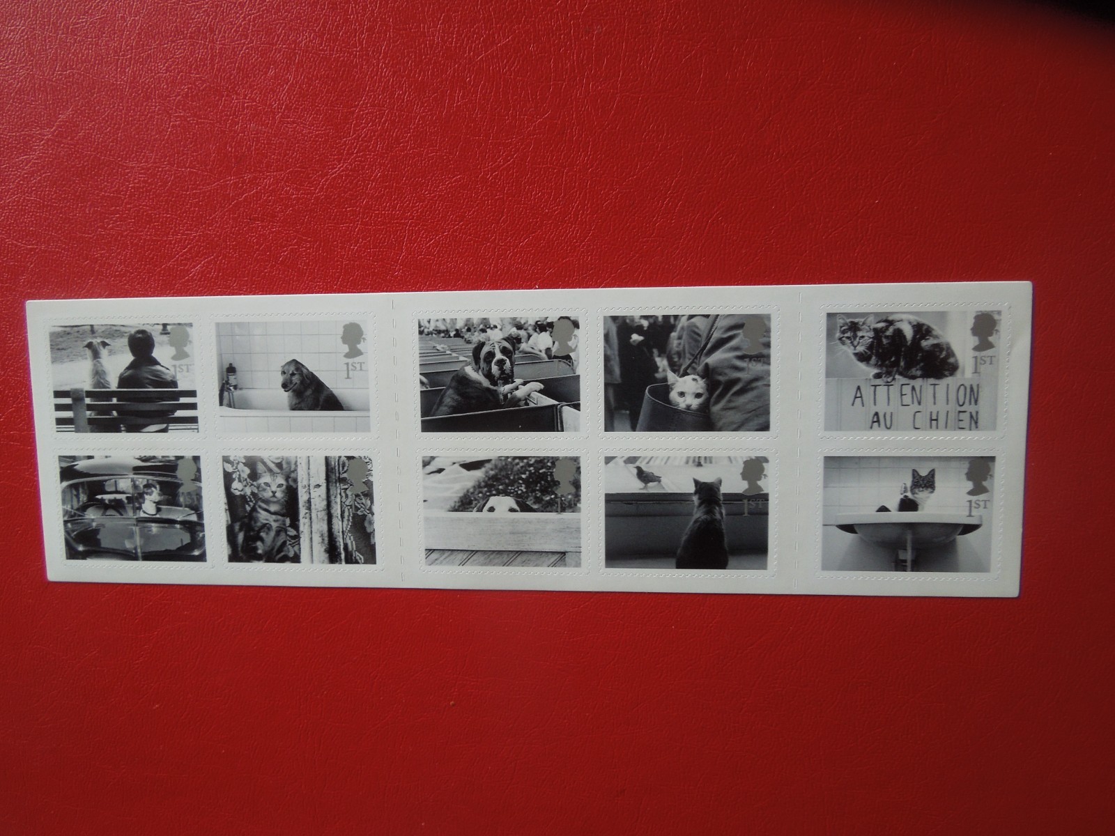 G 6595  GREAT BRITAIN 2001  DOGS  CATS 1 CLASS  BOOKLET  UNFOLDED  MNH