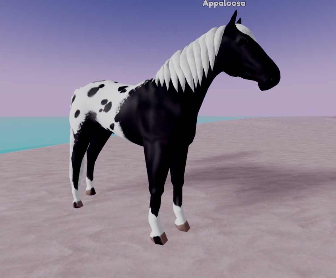 Wild Horse Islands 🌸  IUH Icey White Black Blanket Appaloosa 🌸