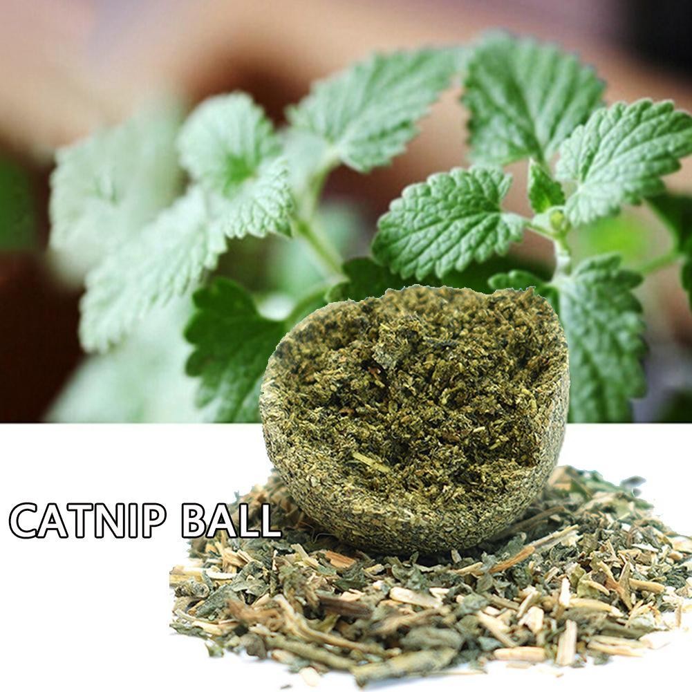 Lick Nutrition Ball Cat Snack Catnip Ball Help Wall & |us~ Mount Digestion J9G6