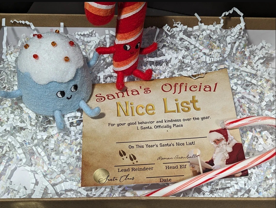 Official Nice Certificate from Santa Clause candy figure, gift set