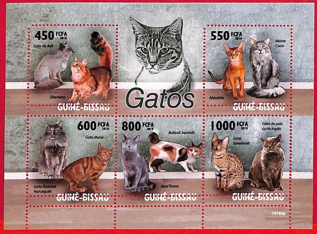 A5234 - GUINE-BISSAU - ERROR MISPERF Stamp Sheet - 2010 - CATS