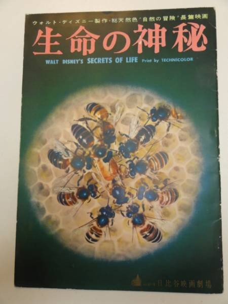 04489 The Mystery of Life Hibiya A4 pamphlet