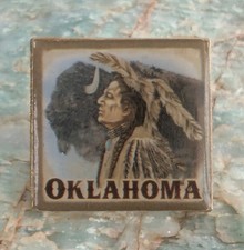 Vintage SSI Gold Tone Enamel Oklahoma American Indian W/ Bison Lapel Pin