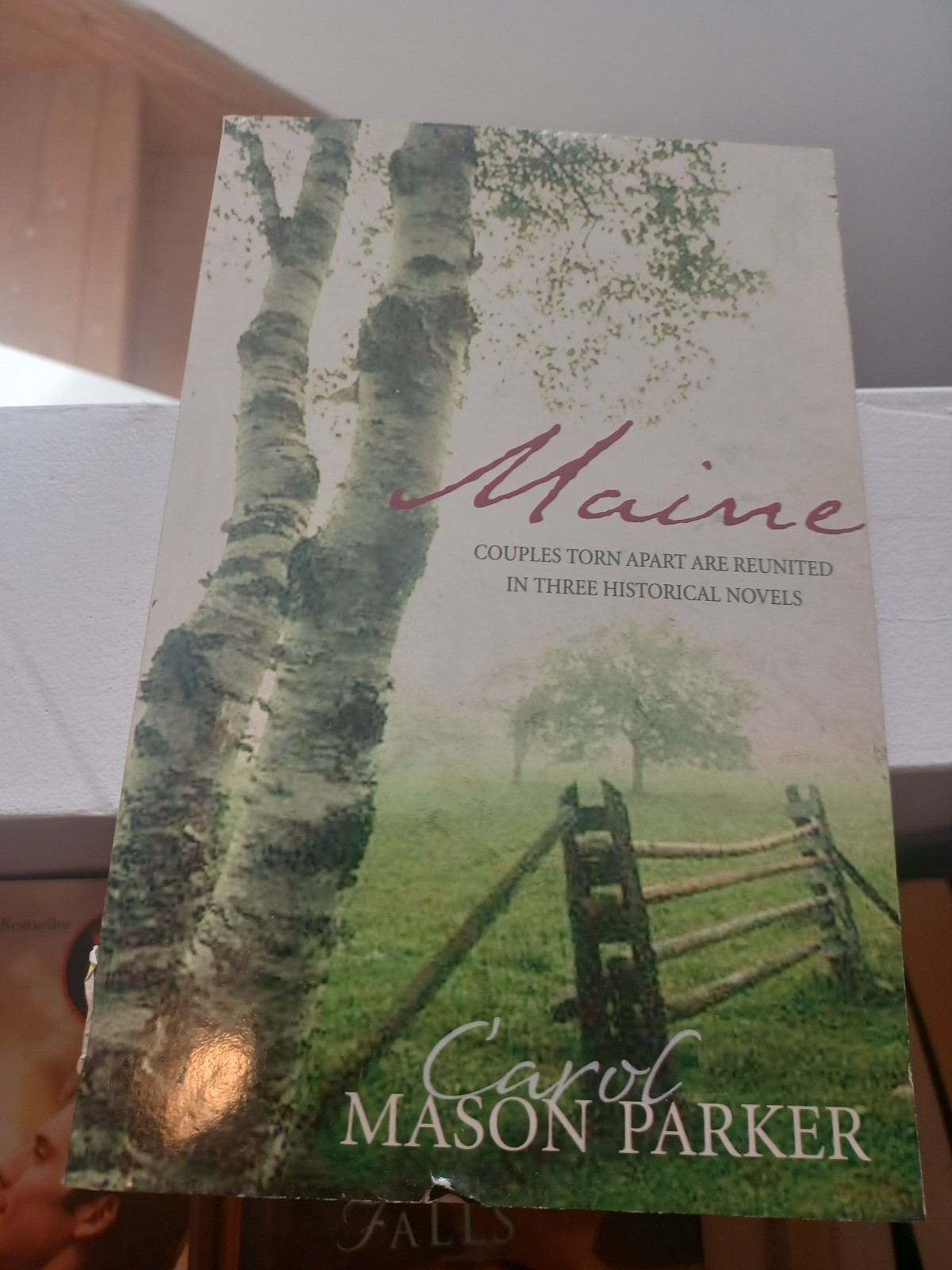 Maine: Haven of Peace/A Time to - Paperback, by Parker Carol Mason