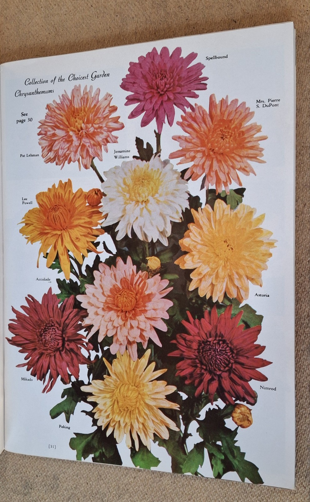 Vintage 1963 WAYSIDE GARDENS CATALOG Mentor Ohio Flowers Roses Great Photos 