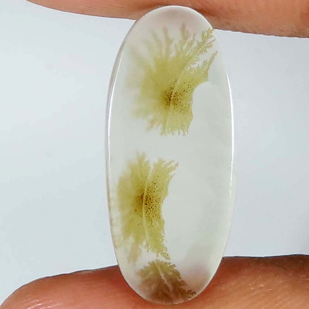 100% Natural Scenic Dendritic Agate Oval Cabochon 7.50 CT 9x22x3 mm Gems Ce_618