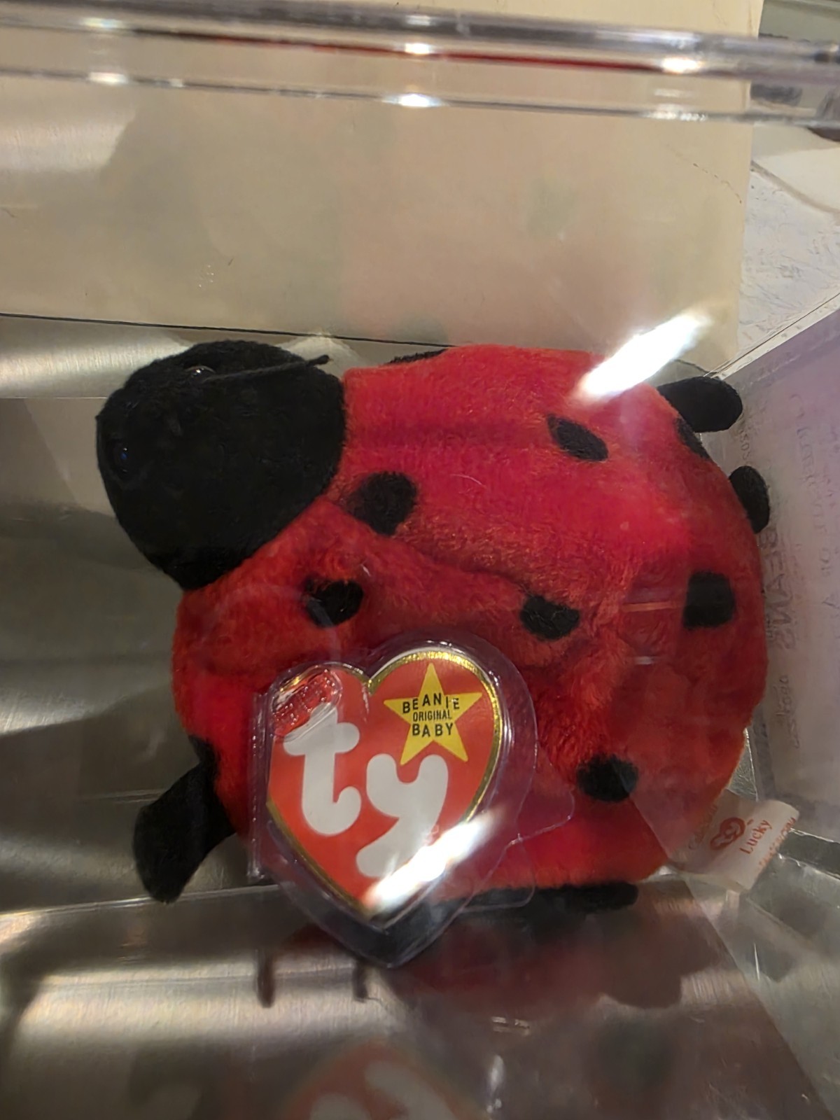 TY Beanie Baby Lucky Ladybug 4040 11 Dots 4th Gen / 3rd Gen w/ COA & Display Cas