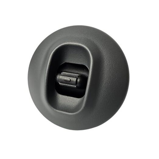  Rear Passenger Window Switch and Bezel Set for with 2002-2008 Dodge Ram () Gray