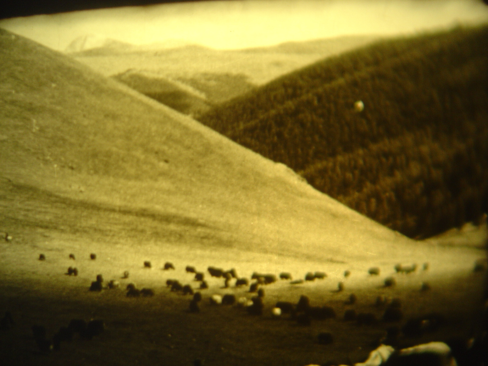 16mm Soviete educational " Sayan Mountains " Film B/W movie Asia Siberia Mongol