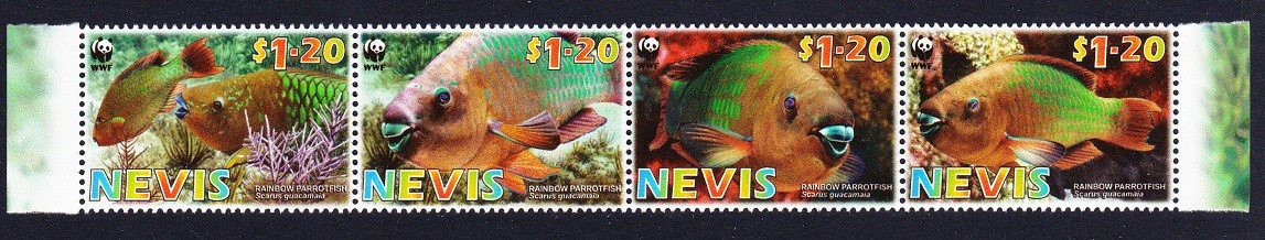 Nevis WWF Rainbow Parrotfish Strip of 4v 2007 MNH SG#2015-2018