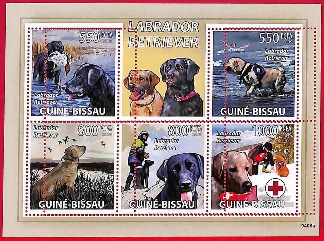 A5203a - GUINE-BISSAU - ERROR MISPERF Stamp Sheet - 2009 - Dogs LABRADOR