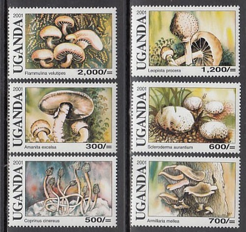 Uganda - Yvert 2012/7 ** Mnh Mushrooms