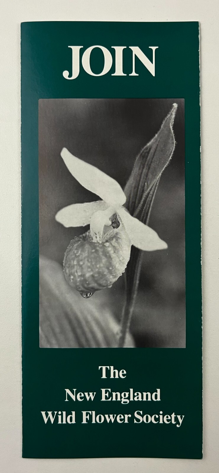 1990s Framingham MA New England Wild Flower Society Vintage Membership Brochure