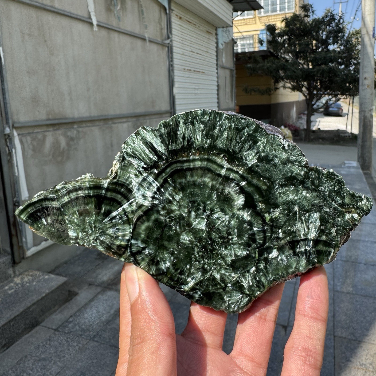 208g Natural Polished Green Seraphinite Gemstone Slab Crystal Mineral Specimen