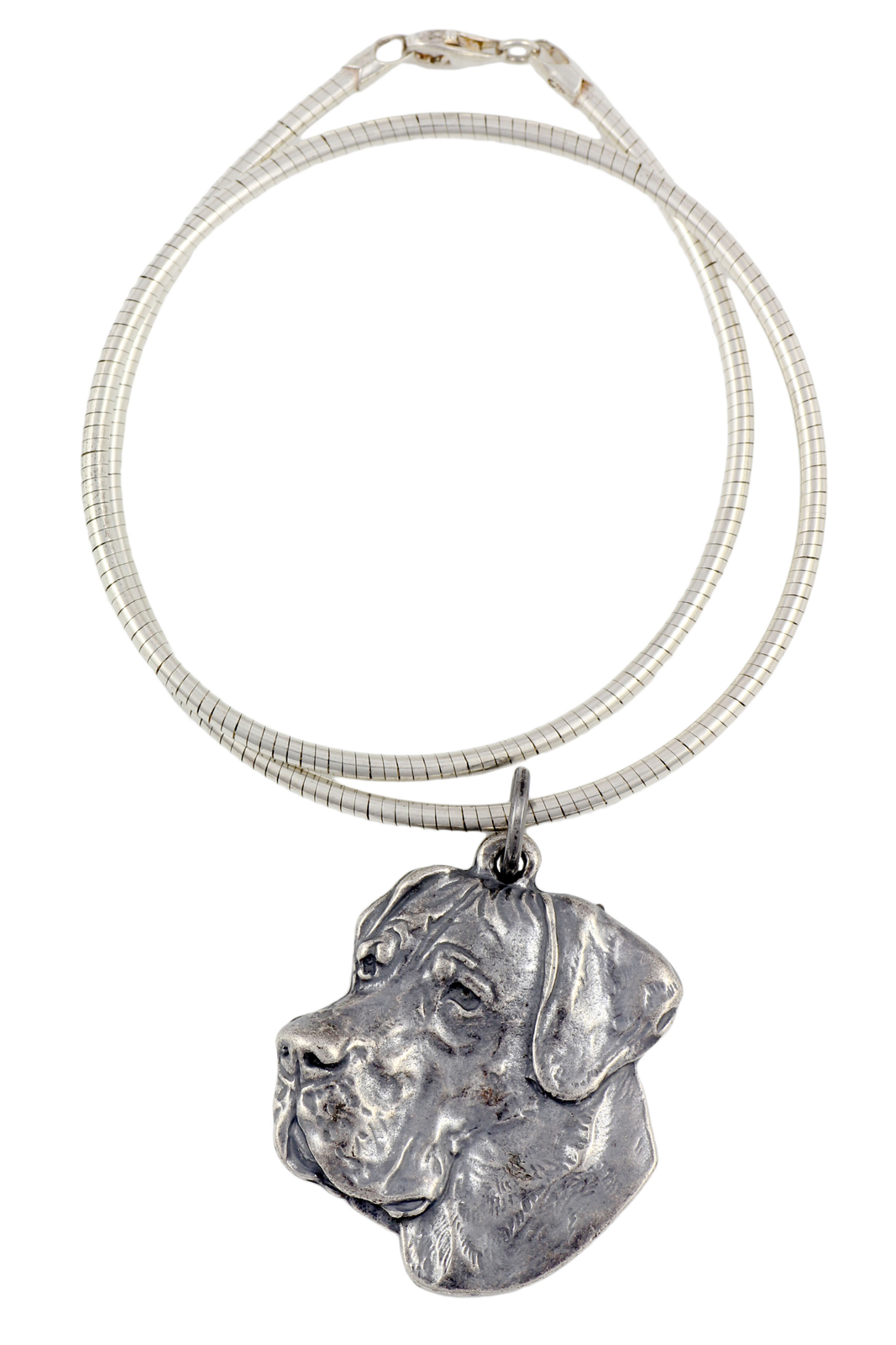 German Great Dane, Ulmer Large Great Dane II - Collar, Unique Strainer