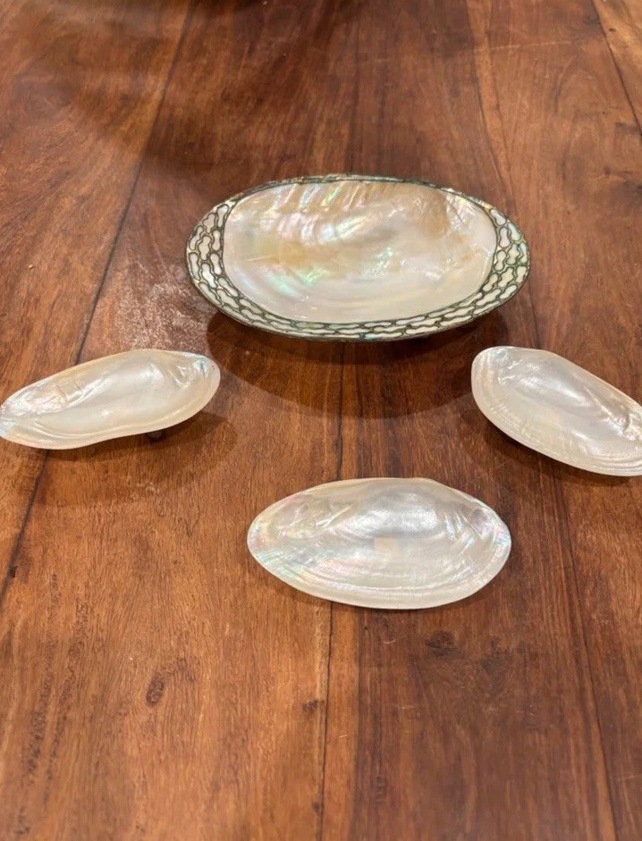 Abalone Shell Dishes for jewelry and trinkets