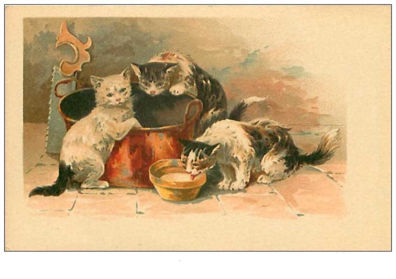 Cats No. 6496 Milk Lapant Cats