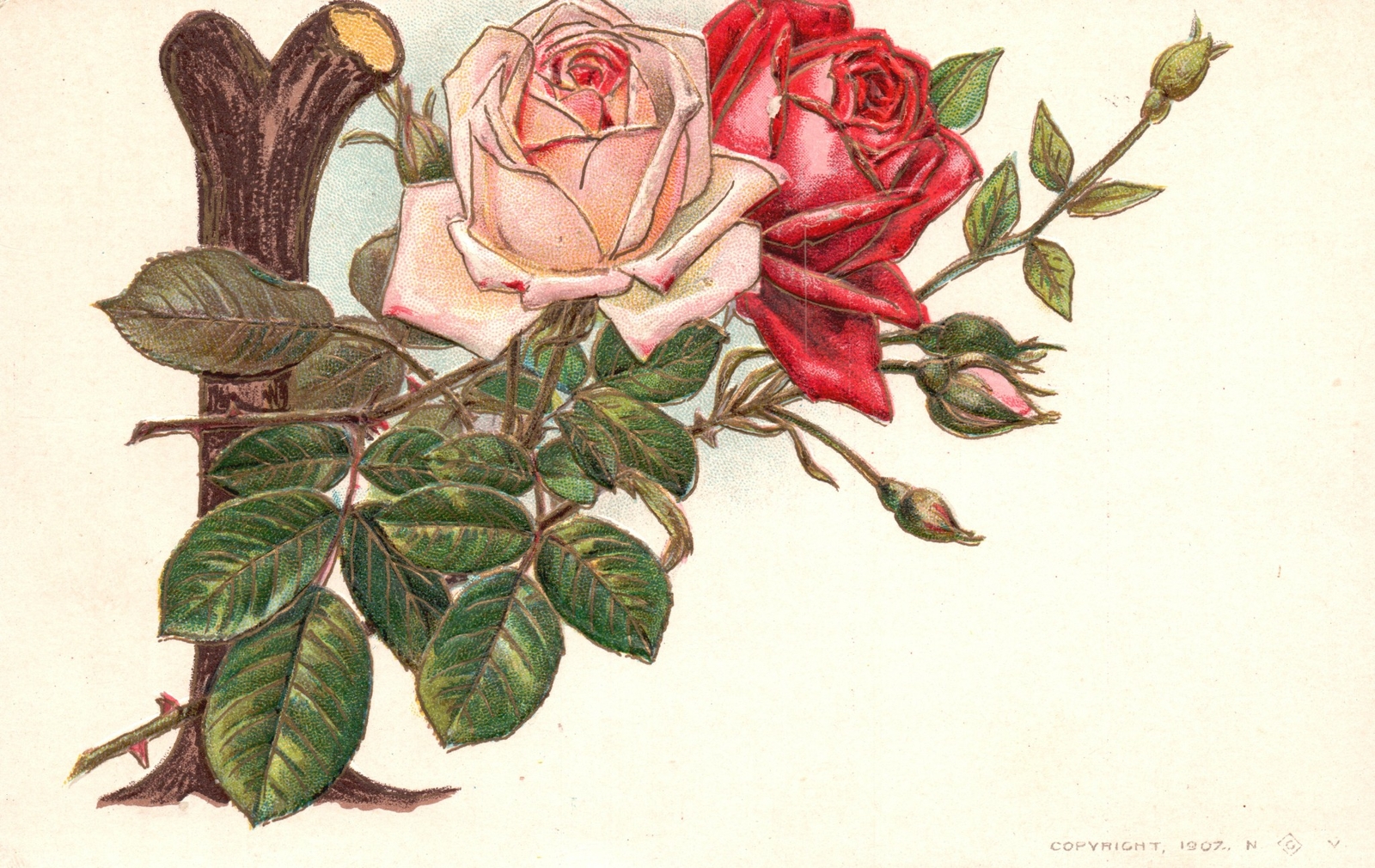 Greetings And All Good Wishes Pink & Red Flower Design Souvenir Vintage Postcard