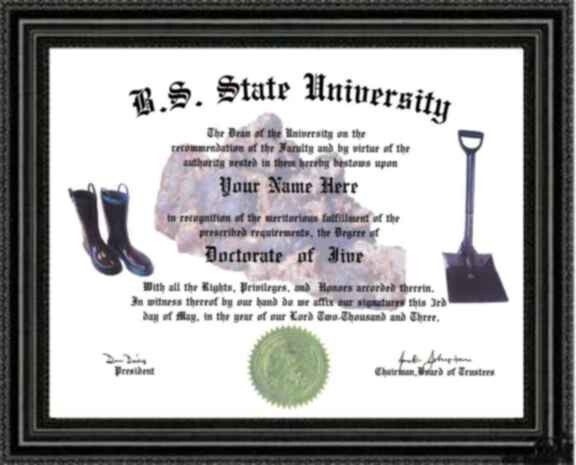 B.S. State Univ JIVE Doctorate Diploma / Degree Custom made and Designed for YOU