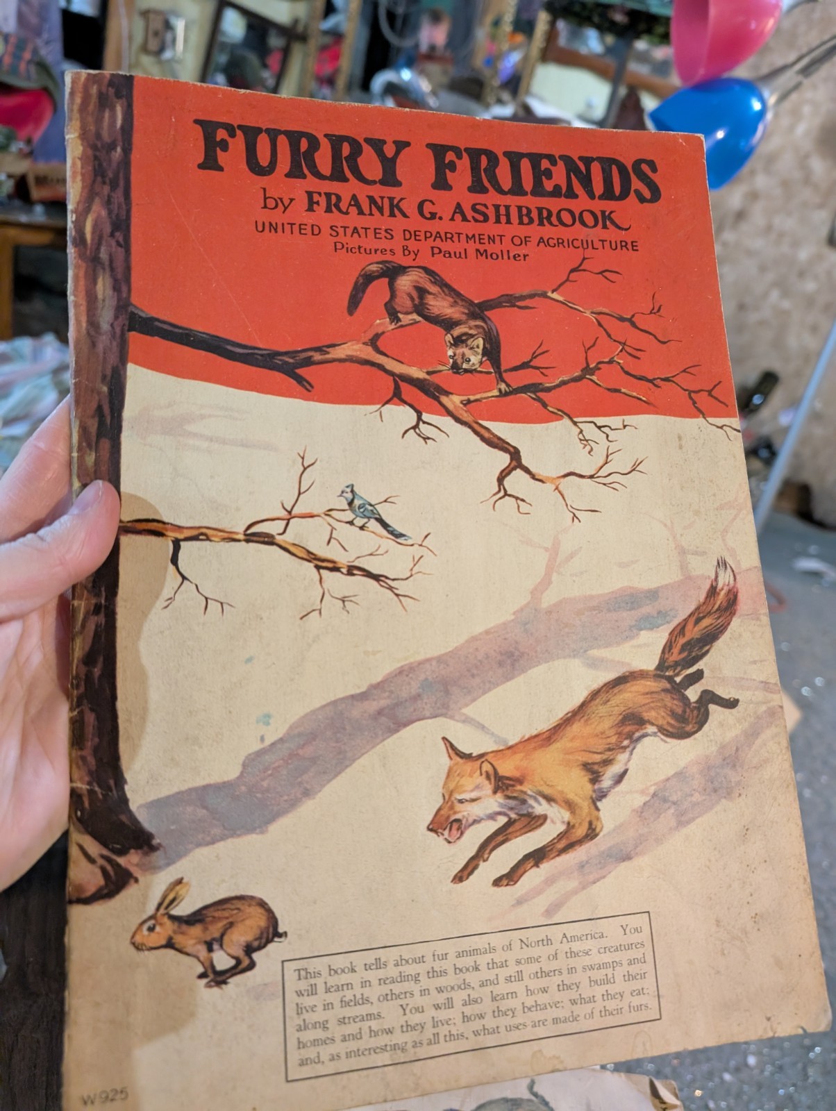 Vintage 1930 Whitman Publishing Furry Friends by Frank Ashbrook Picture Book