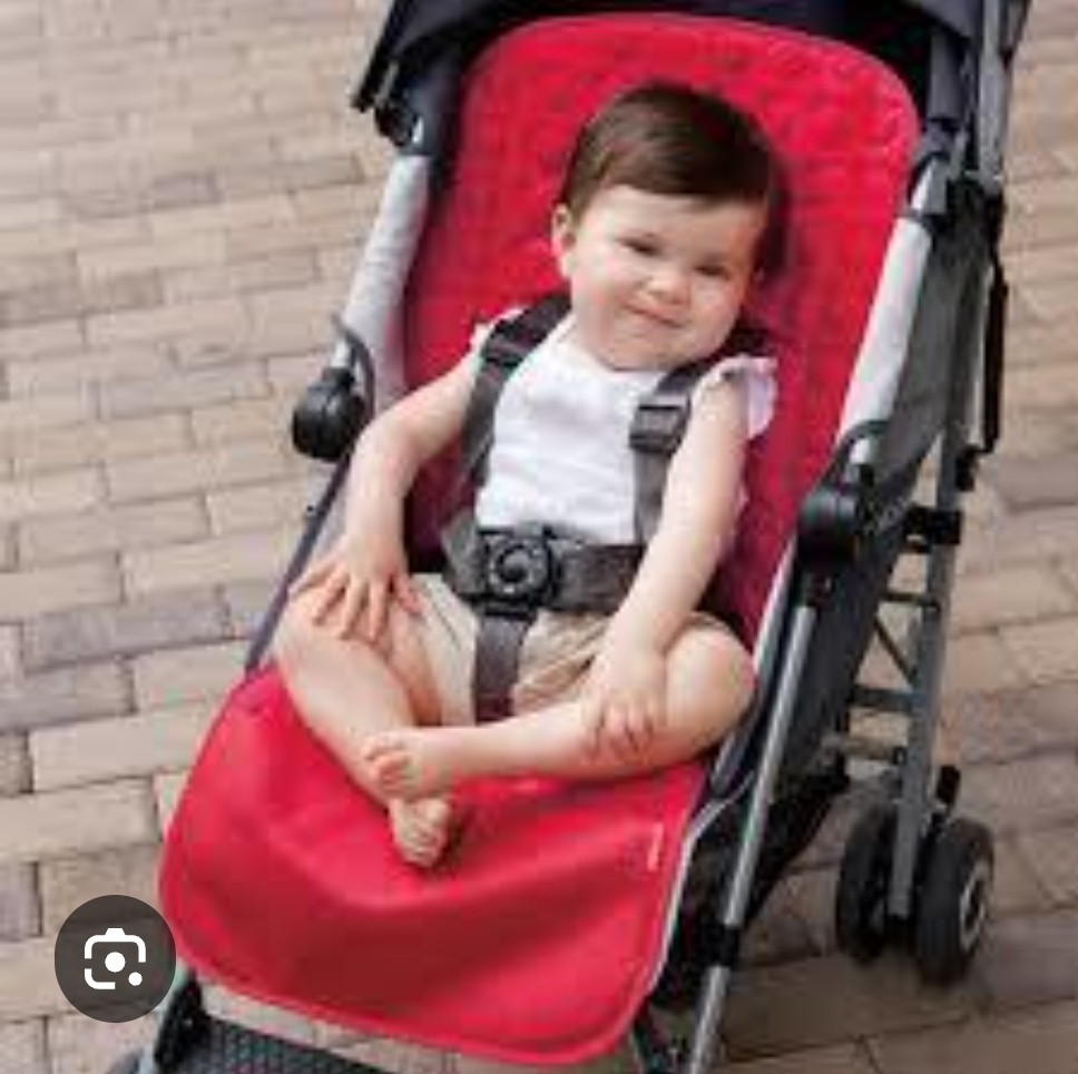Skip Hop Memory Foam Stroller Liner Red Baby New