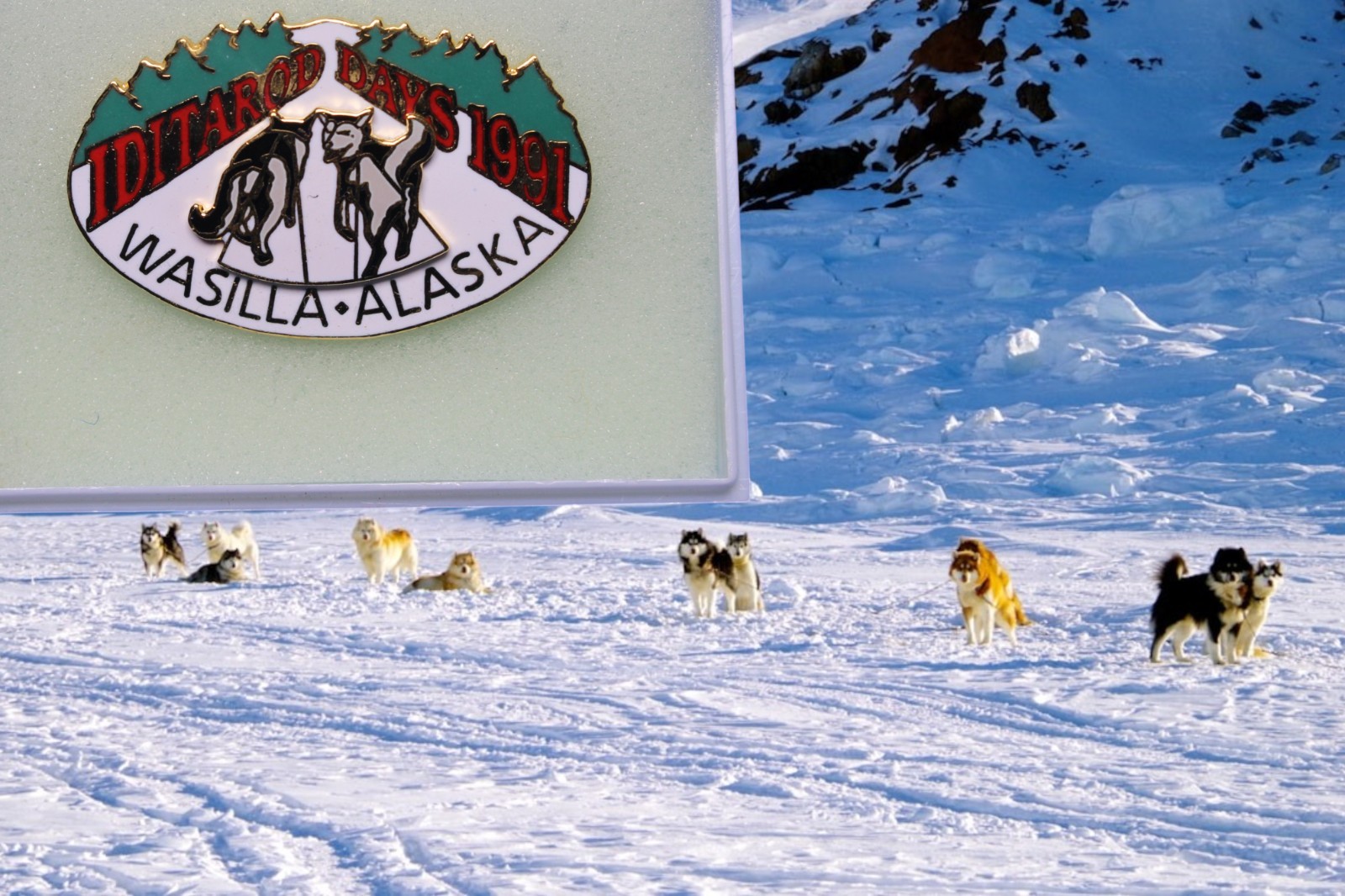 Alaska Iditarod Pin - Iditarod Days Wasilla AK 1991  dogsled  musher