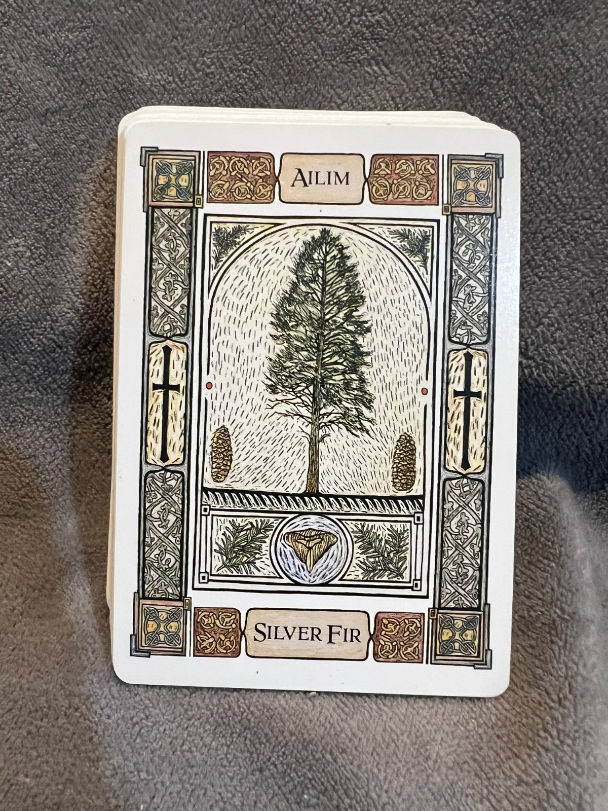 Celtic Tree Oracle 1988 1st Ed Cards Guidebook Record Pad Complete Set Vintage