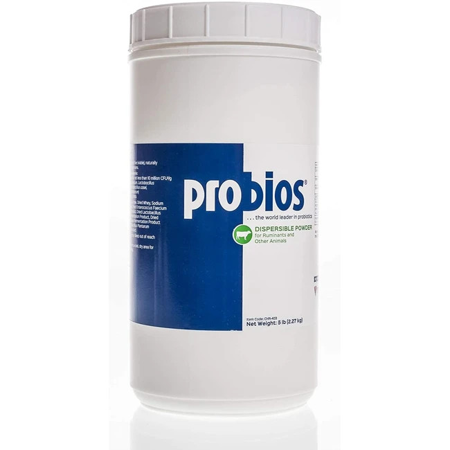 Probios Powder Dispersible For Multiple Species 5 Lb Vets Plus Probiotic