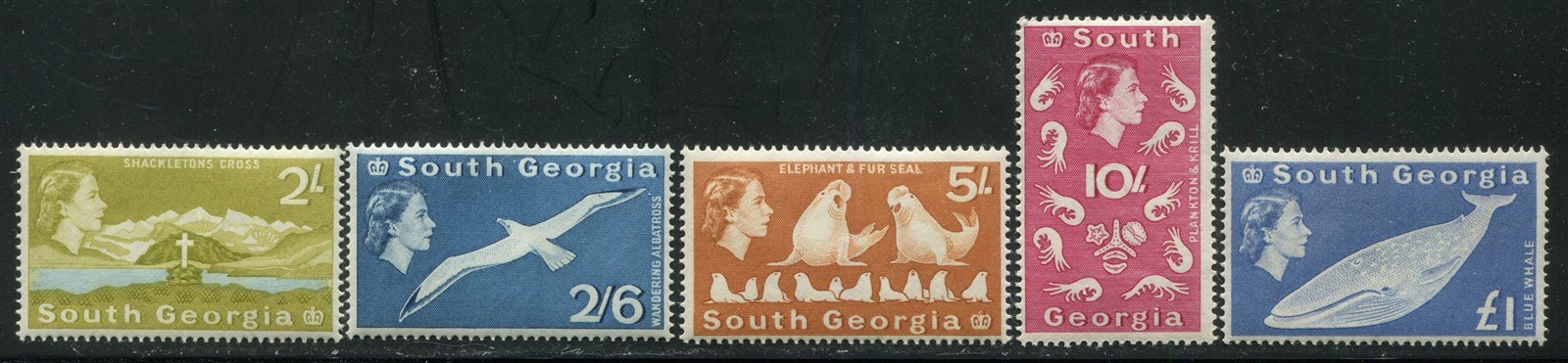 South Georgia #11, 12, 13, 14, 15 Mint