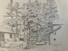 beau dessin Arbre Papier Crayon Sur Papier 1945 Ancien a identifier Ww2 Guerre